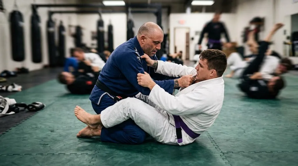 Joe Rogan net worth martial arts training background